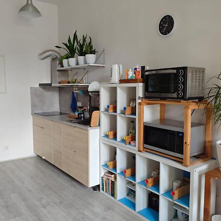 Evergreen Hostel Краків Екстер'єр фото