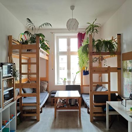 Evergreen Hostel Краків Екстер'єр фото
