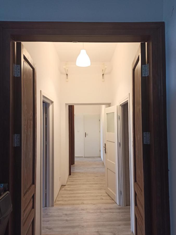 Evergreen Hostel Краків Екстер'єр фото