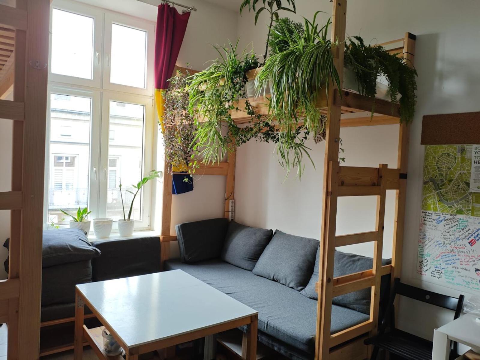 Evergreen Hostel Краків Екстер'єр фото